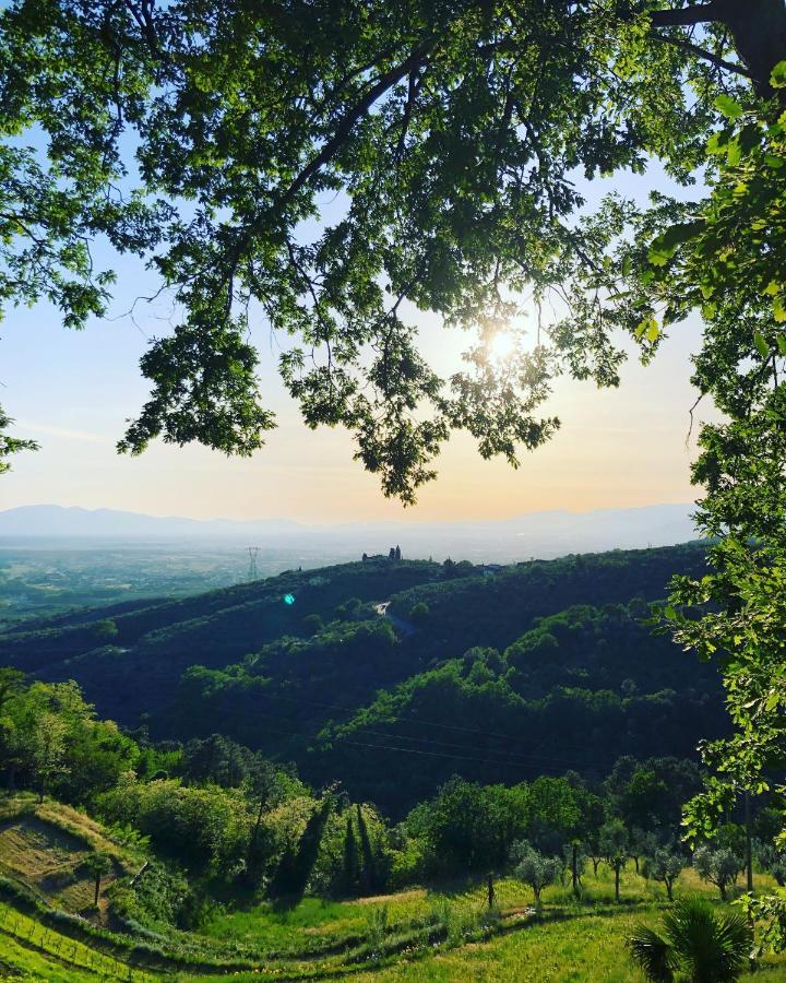 Villa Del Parco In Tuscany San Baronto Dış mekan fotoğraf